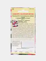 Барвинок Щеголь (семена,цветы)