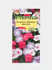 Барвинок Щеголь (семена,цветы)
