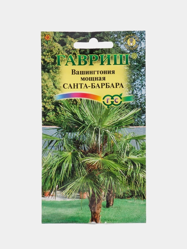Вашингтония мощная Санта барбара (семена,цветы)