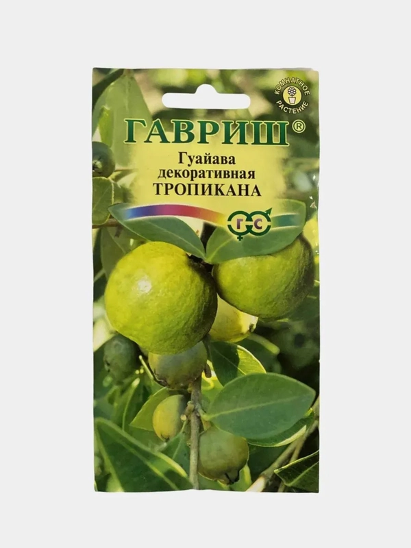 Гуайава Тропикана (семена,цветы)