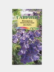 Жакаранда мимозолистная Дельта (семена,цветы)