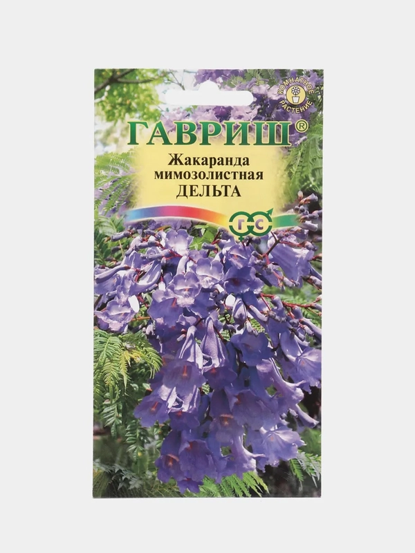 Жакаранда мимозолистная Дельта (семена,цветы)