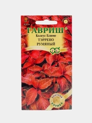 Семена цветов "Колеус Блюме Тэррено румяный"