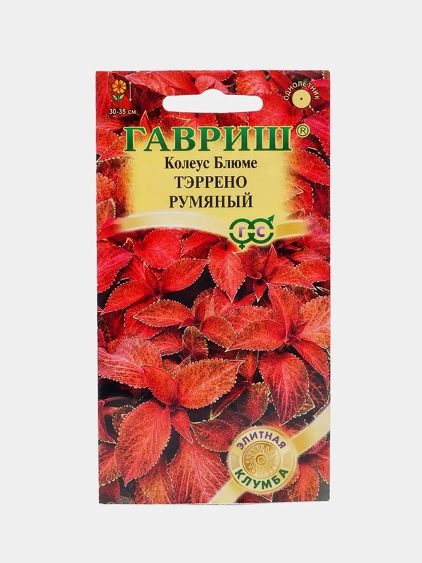 Семена цветов "Колеус Блюме Тэррено румяный"