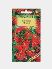 Брусника Рубин (семена,ягоды)