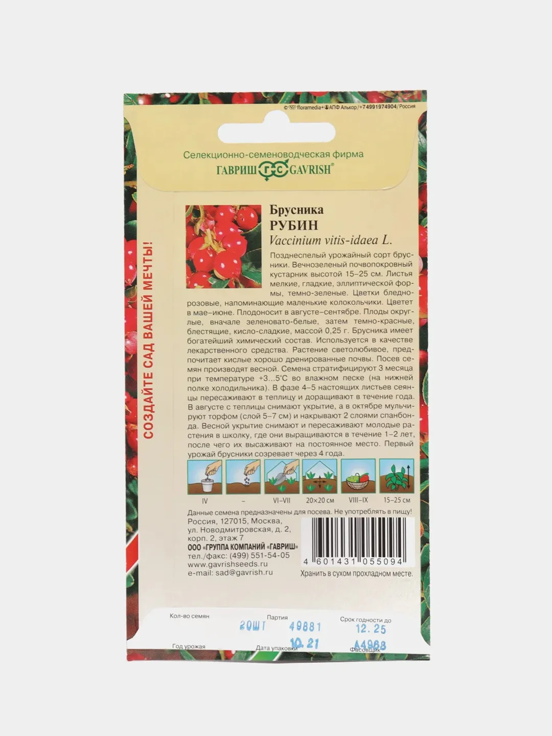 Брусника Рубин (семена,ягоды)