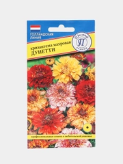 Хризантема махровая Дунетти (семена,цветы)