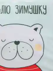 Подушка декоративная CoolPodarok "Кот. Люблю зимушку"