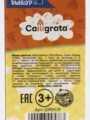 Мелки цветные Calligrata, в наборе 3 штуки, квадратные