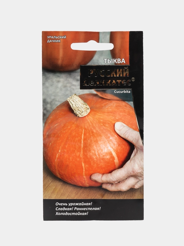 Семена,Тыква русский деликатес
