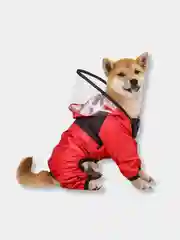Красный одежда для собак, дождевик для собак, с капюшоном, комбинезон, плащ "The DogFace"