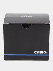 Наручные часы Casio MW-240-4B