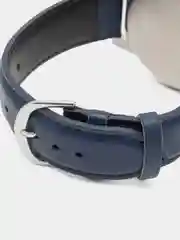 Наручные часы Casio MTP-VD01L-2B
