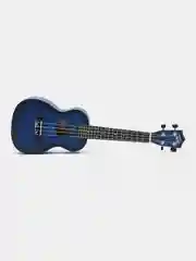 Укулеле концерт Tutti JR-13 BLB