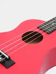 Укулеле концерт Tutti JR-13 RD