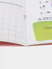 Красный прописи для детей для подготовки к школе  "графические диктанты, штриховка, чтение "