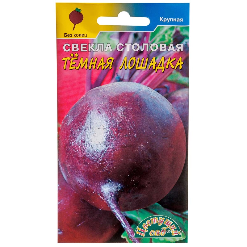 Свекла Темная лошадка Цветущий сад