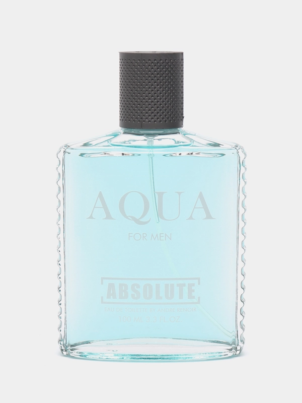 Туалетная вода мужская Absolute Aqua, 100 мл