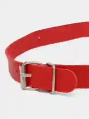 Красный кляп