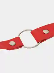 Красный кляп