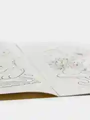 Книжка-раскраска "Кошачий салон красоты": для детей 5-8 лет