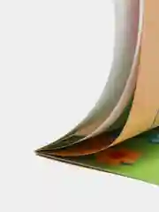Моя первая раскраска. Любимые питомцы