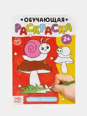 Белый раскраски обучающие "По номерам, Найди отличия, По точкам"