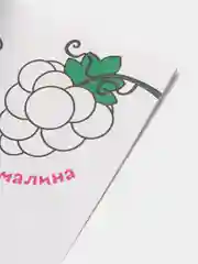 Терракотовый раскраски обучающие "По номерам, Найди отличия, По точкам"