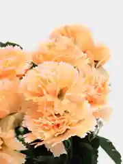 Искусственные цветы. Гвоздики (букет) Композиция