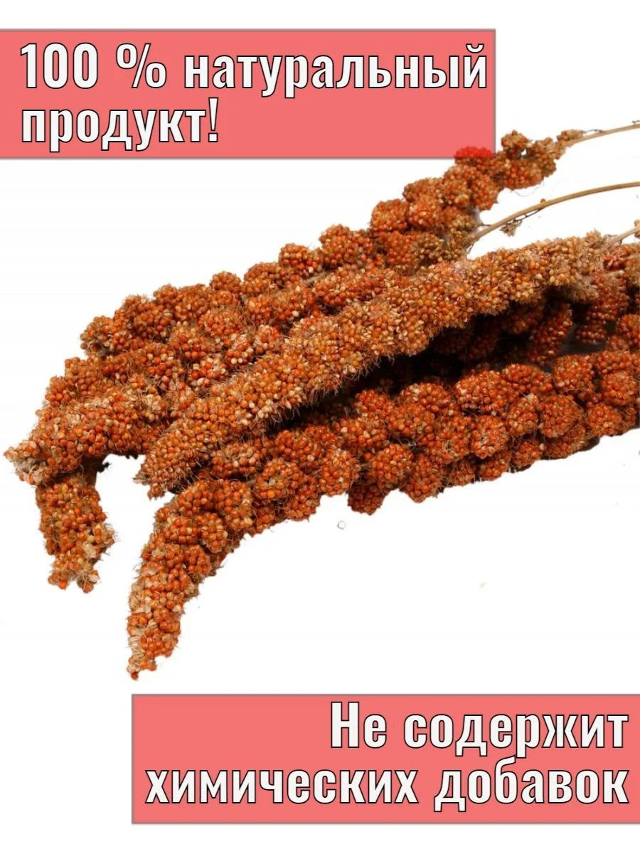 Корм просо для птиц, попугаев и грызунов 1 кг