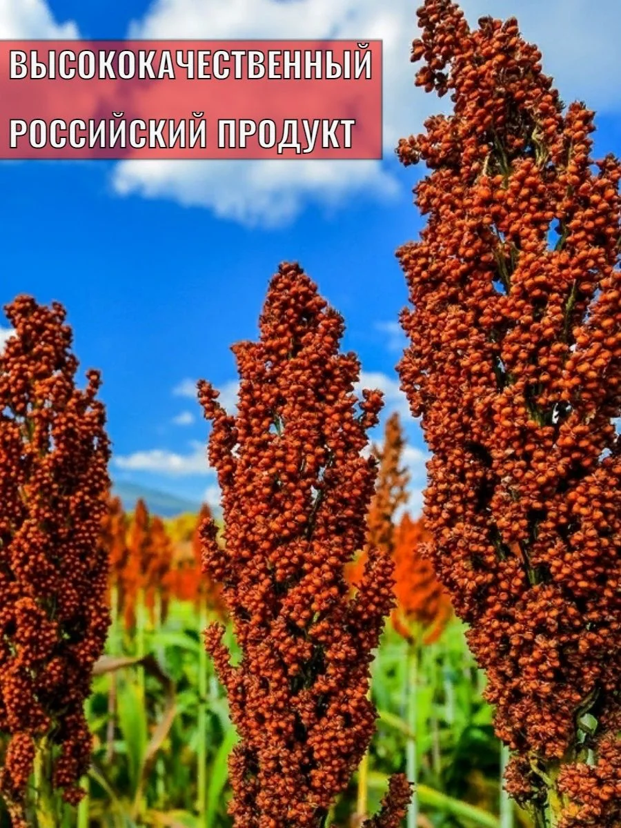 Корм просо для птиц, попугаев и грызунов 1 кг