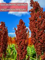 Корм просо для птиц, попугаев и грызунов 1 кг