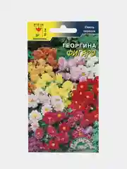 Георгина "Фигаро" (семена, цветы)