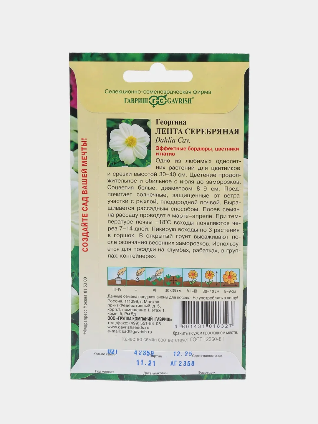 Георгина "Лента серебряная" (семена, цветы)