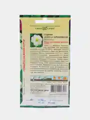 Георгина "Лента серебряная" (семена, цветы)