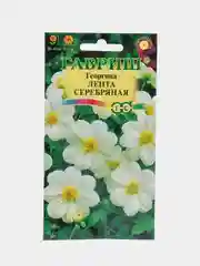 Георгина "Лента серебряная" (семена, цветы)