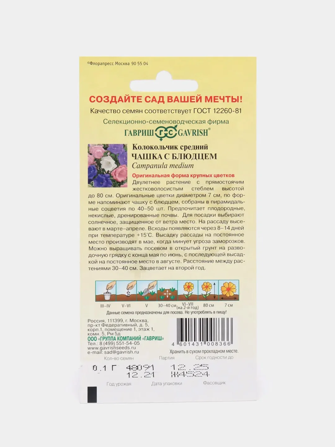 Колокольчик Чашка с блюдцем (семена, цветы)