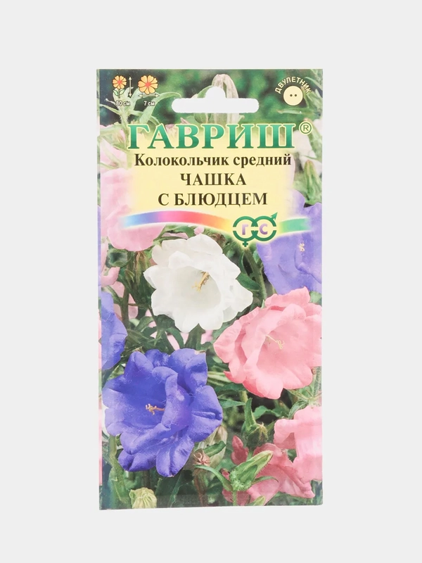 Колокольчик Чашка с блюдцем (семена, цветы)