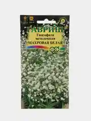Гипсофила махровая Белая (семена,цветы)