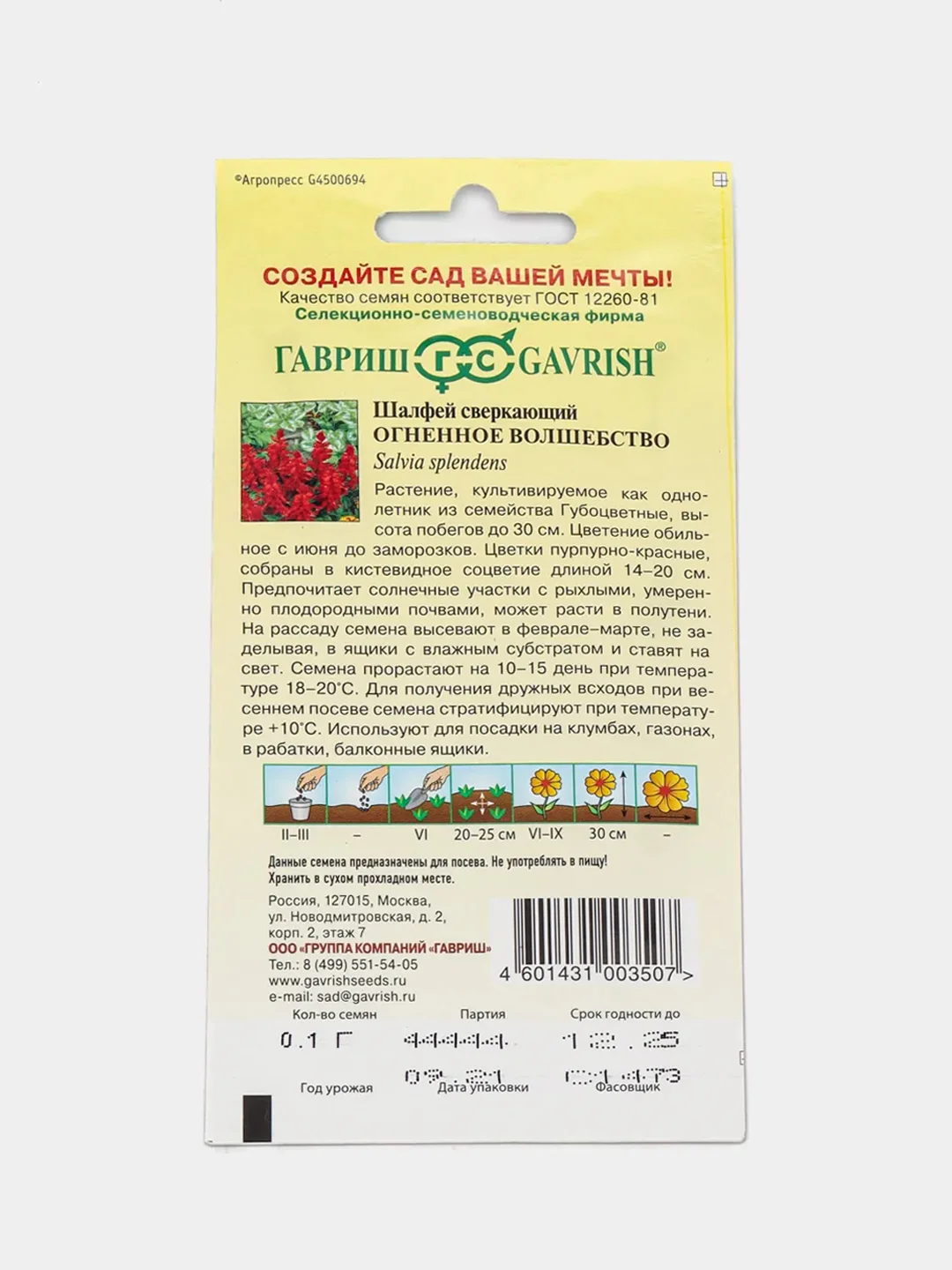 Сальвия Огненное волшебство (семена,цветы)