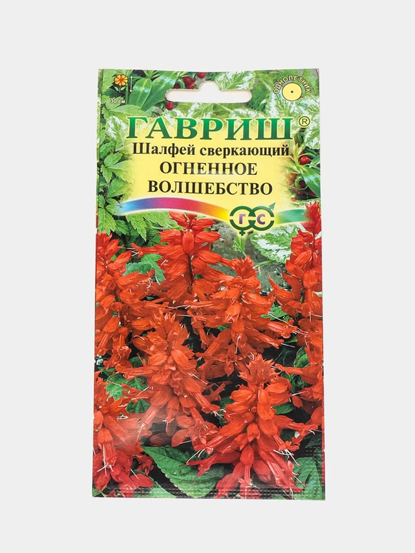 Сальвия Огненное волшебство (семена,цветы)