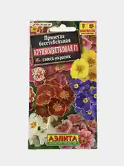 Примула Крупноцветковая (семена,цветы)