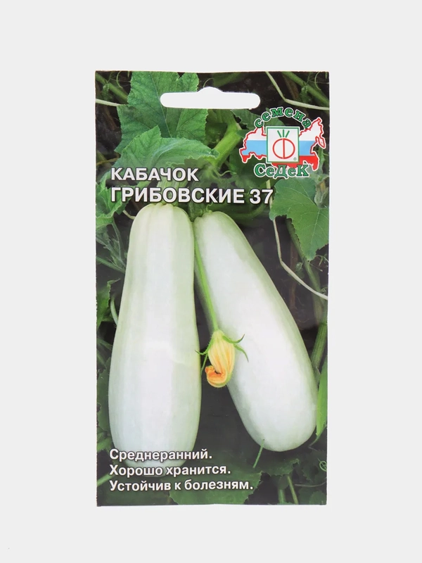 Семена Кабачок "Грибовские 37"
