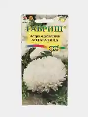 Астра "Антарктида", семена