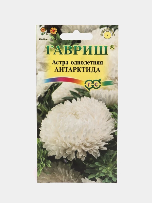 Астра "Антарктида", семена