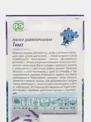 Белый лобелия белая, синяя в ассортименте, семена цветов
