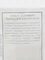 Красный свекла кормовая Эккендорфская жёлтая, красная, МОНО, семена