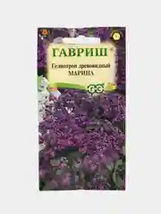 Гелиотроп Марина (семена,цветы)