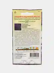 Гелиотроп Марина (семена,цветы)