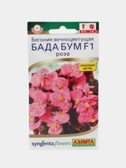 Бегония Бада бум F1 роза (семена,цветы)